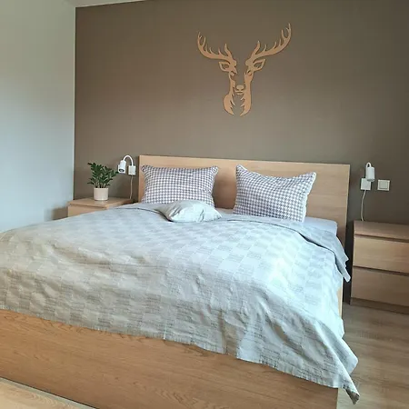 בית נופש Wasserkunst ורניגרוד