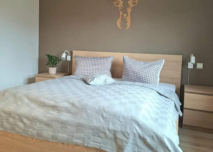 בית נופש Wasserkunst ורניגרוד